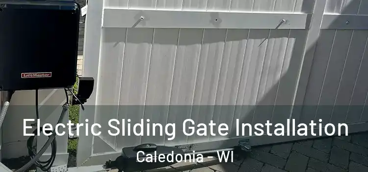 Electric Sliding Gate Installation Caledonia - WI