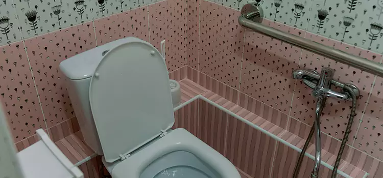 Meeting Diverse Needs With Accessible Restroom Solutions in Caledonia, WI